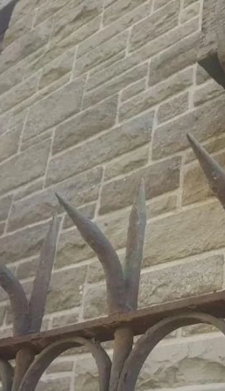 WhatsApp-Image-2022-01-27-at-12.57.01-PM