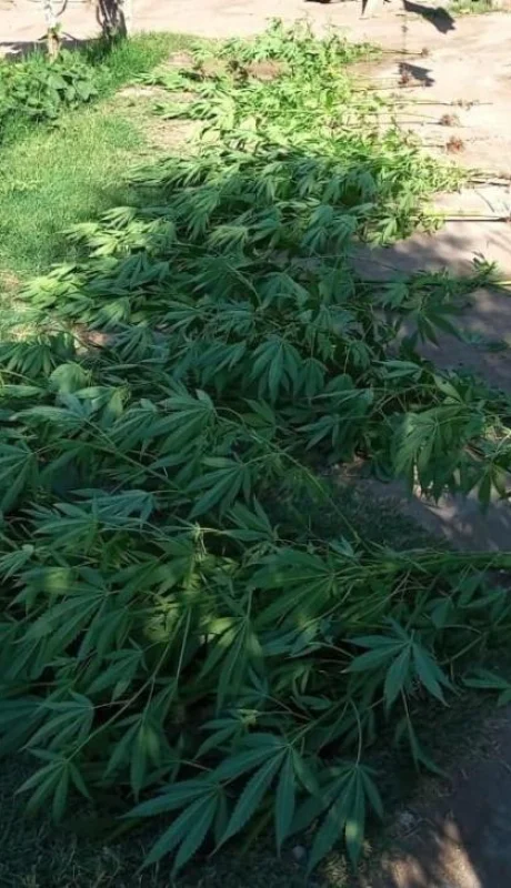 f76dad6f-dd38-486b-be54-642274bf9925