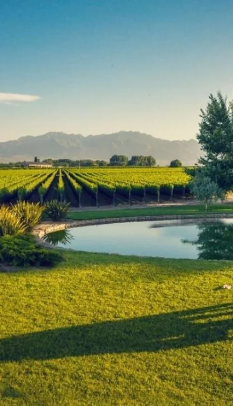 WhatsApp-Image-2022-01-17-at-07.40.34