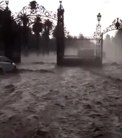 WhatsApp-Image-2022-01-10-at-07.13.37