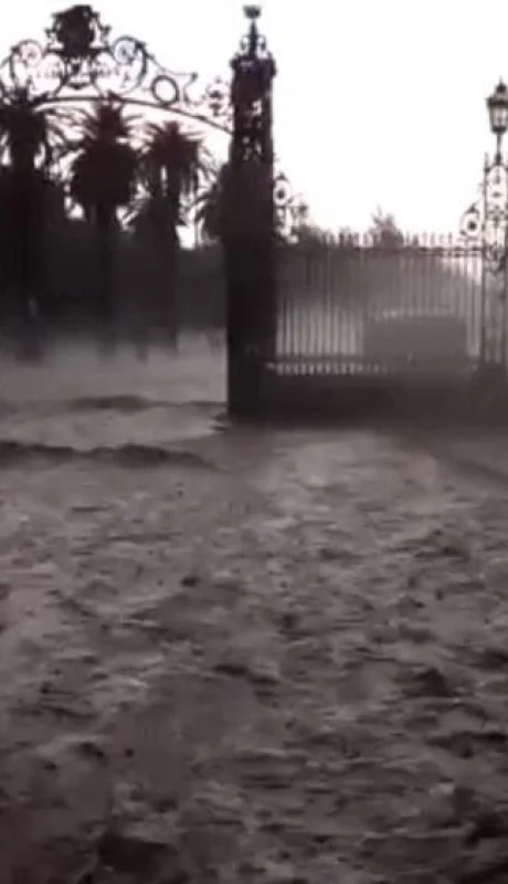 WhatsApp-Image-2022-01-10-at-07.13.37