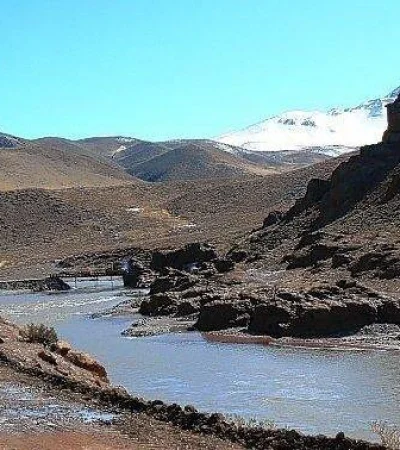 WhatsApp-Image-2022-01-11-at-07.04.46