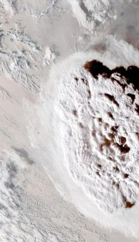 tonga-olas-video-fotos