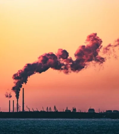 pexels-marek-piwnicki-7071084