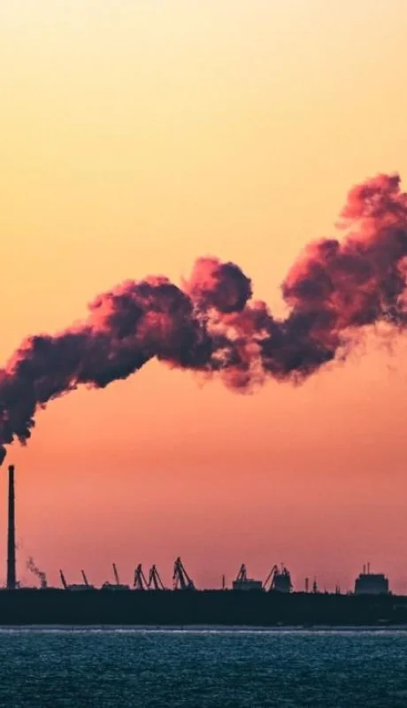 pexels-marek-piwnicki-7071084