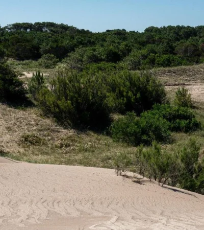 El-Salvaje,-Chacras-Marítimas---(1)
