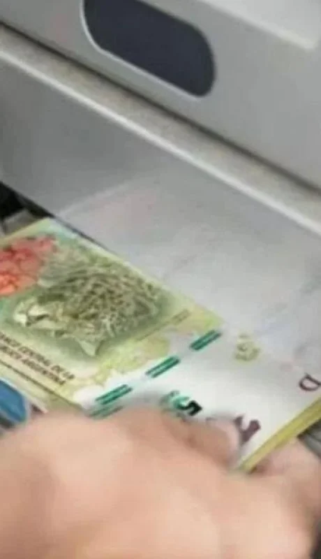 mi_anses_declaracion_jurada_auh