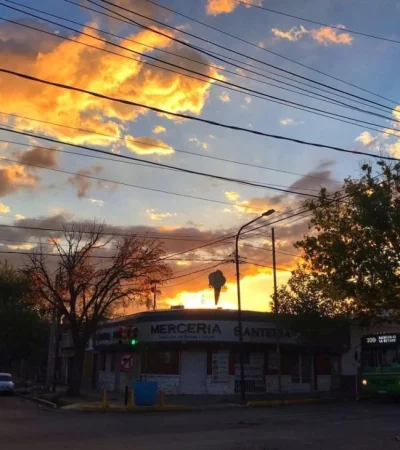 WhatsApp-Image-2022-01-26-at-07.30.44