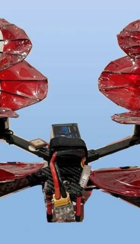 crimson-spin-foto-universidad-de