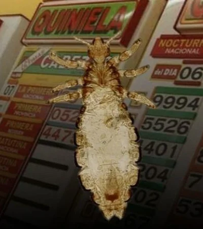 quiniela-piojo-suerte-tabla-sueño-número