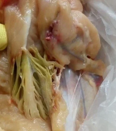 WhatsApp-Image-2022-02-21-at-12.00.50