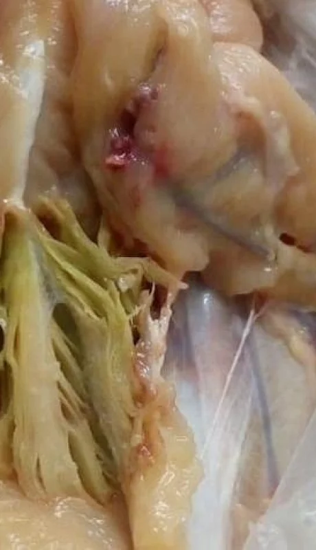 WhatsApp-Image-2022-02-21-at-12.00.50