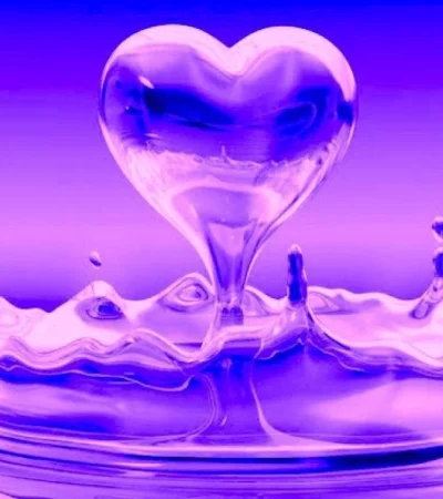 WhatsApp-Image-2022-02-02-at-07.24.15