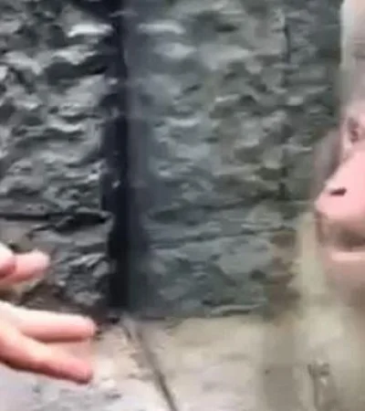 WhatsApp-Image-2022-02-22-at-5.41.37-PM