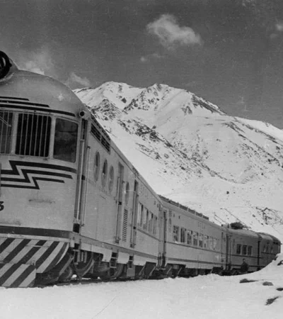 WhatsApp-Image-2022-02-16-at-07.37.26