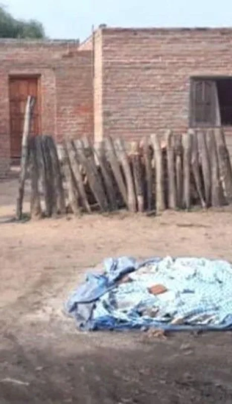 el-frente-de-la-casa___Df2TZJa85_720x0__1