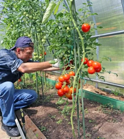 WhatsApp-Image-2022-02-17-at-07.31.17