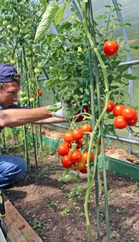 WhatsApp-Image-2022-02-17-at-07.31.17