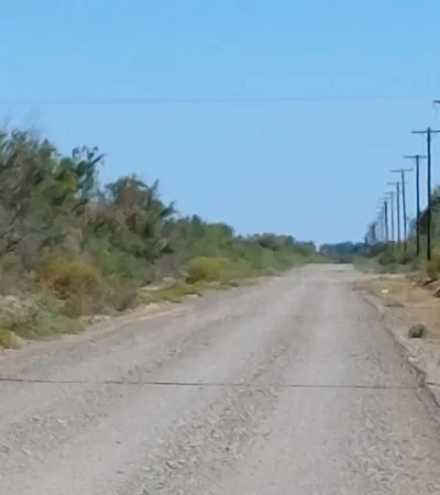 WhatsApp-Image-2022-02-14-at-06.32.45