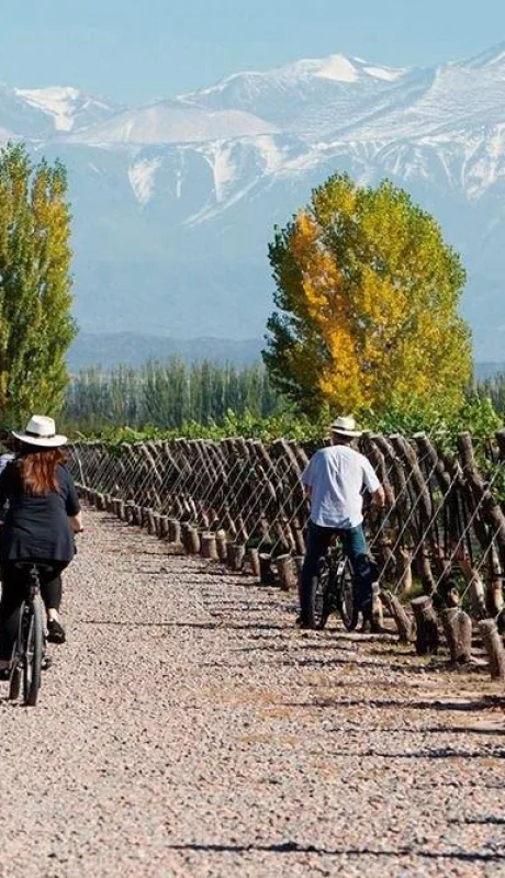 chacras-de-coria-mendoza