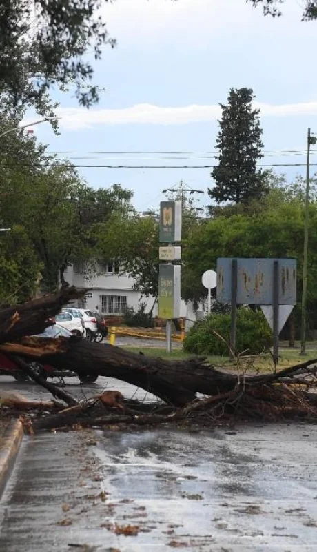 26-01-2022_mendoza_una_fuerte_tormenta_azoto-(5)