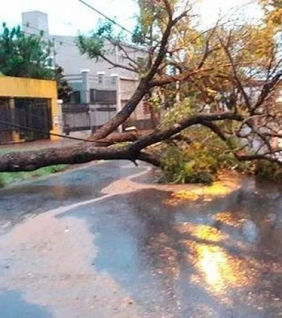 tiempo-granizo-tormenta-mendoza-defensa-civil-4