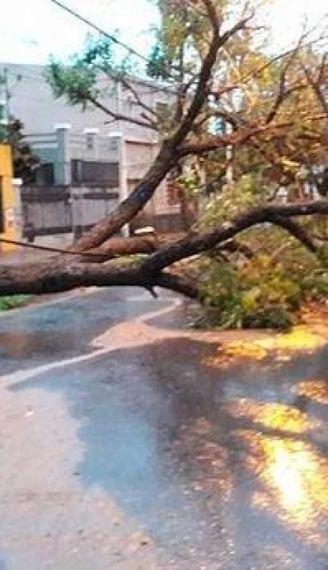 tiempo-granizo-tormenta-mendoza-defensa-civil-4