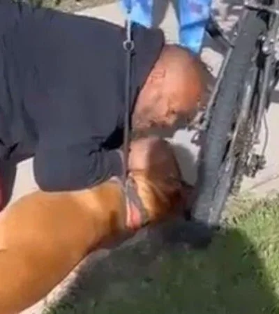 WhatsApp-Image-2022-02-03-at-10.44.21-AM