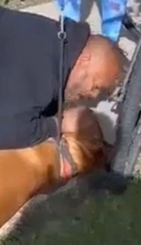 WhatsApp-Image-2022-02-03-at-10.44.21-AM