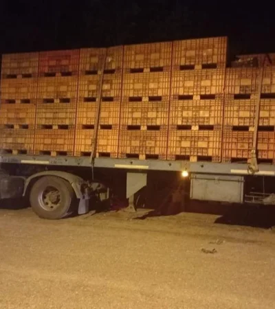 5991f3ab-c94a-4bd5-8482-d9adb6200edb