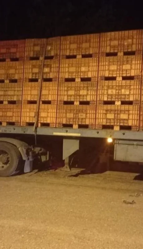 5991f3ab-c94a-4bd5-8482-d9adb6200edb