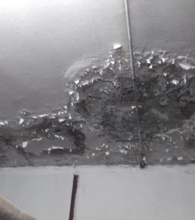 WhatsApp-Image-2022-02-23-at-08.24.19