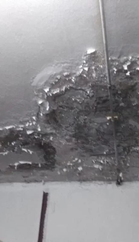 WhatsApp-Image-2022-02-23-at-08.24.19