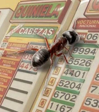 Quiniela argentina: número de insectos y el misterio de la hormiga.