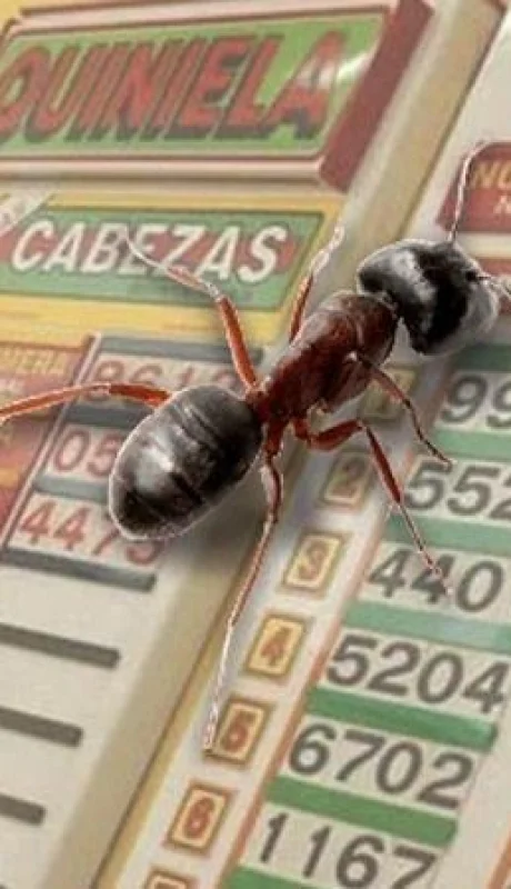 Quiniela argentina: número de insectos y el misterio de la hormiga.