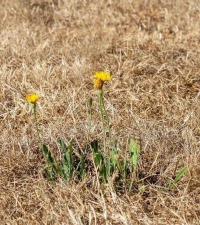 cambio-climatico-jpg.