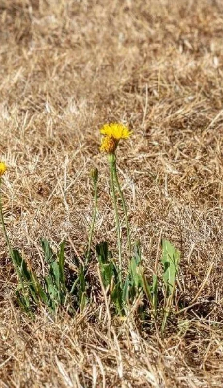 cambio-climatico-jpg.