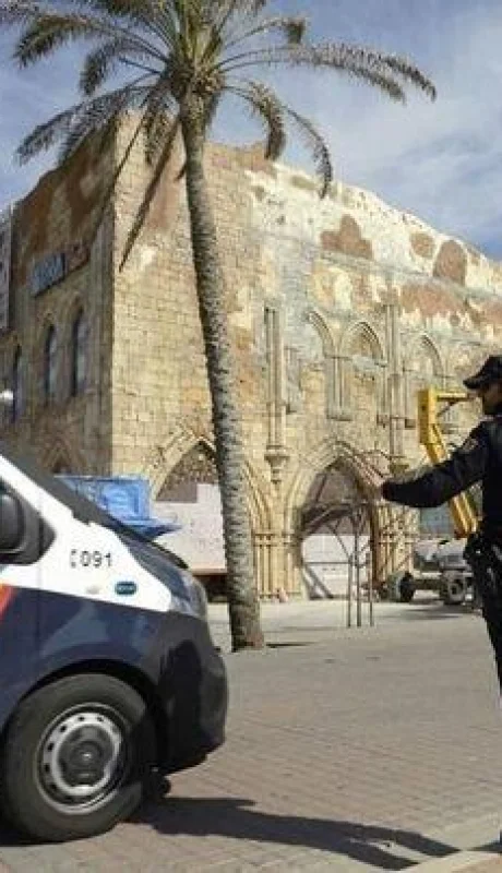 red-de-trata-mallorca-jpg.