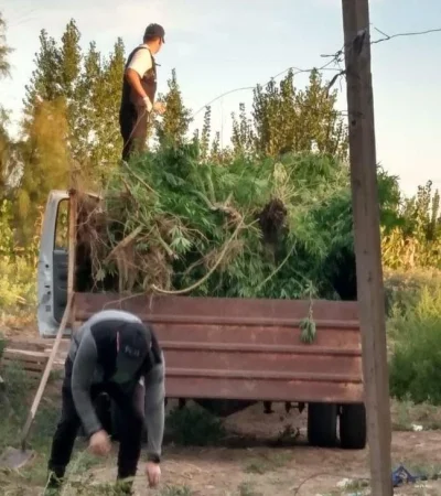 img-20220309-wa0195-jpg.