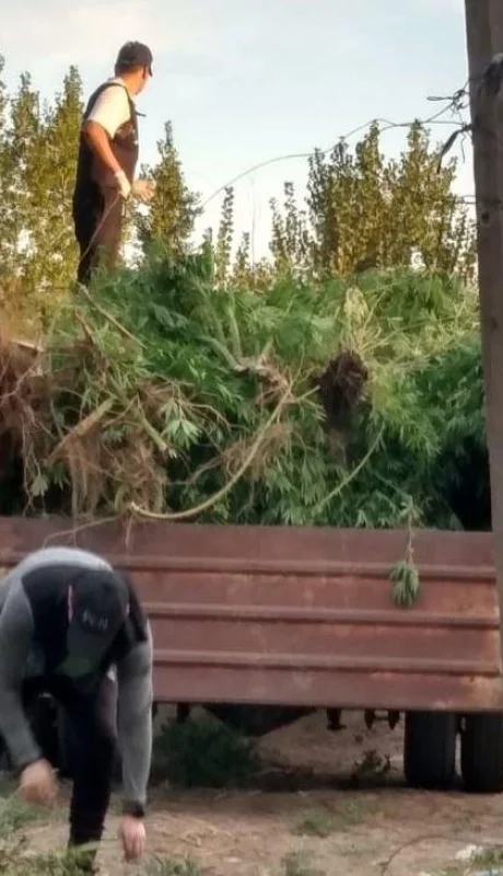 img-20220309-wa0195-jpg.