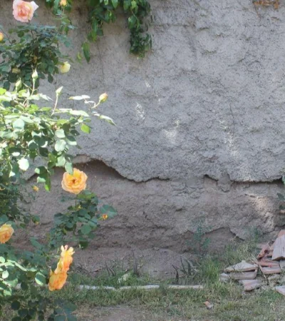 compostar-la-casa_flyer-05