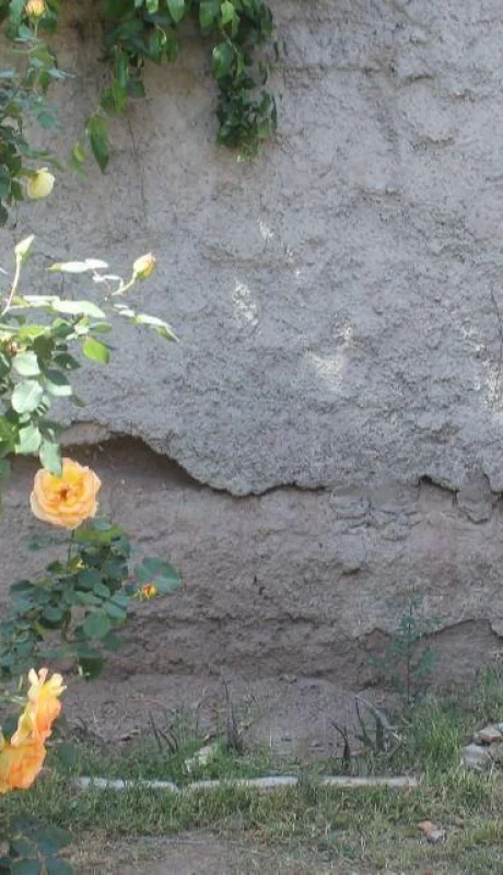 compostar-la-casa_flyer-05