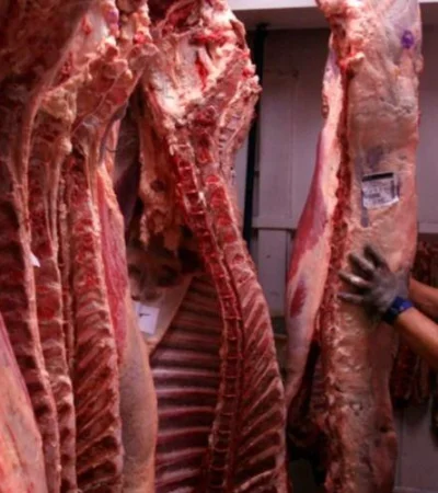 cortes-cuidados-precios-gobierno-argentina-png.