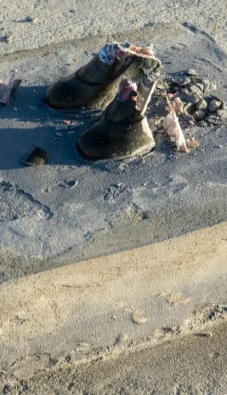 whatsapp-image-2022-03-30-at-11-16-13-am-jpeg.