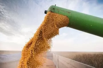 El exministro de Agricultura opinó sobre la baja de las retenciones