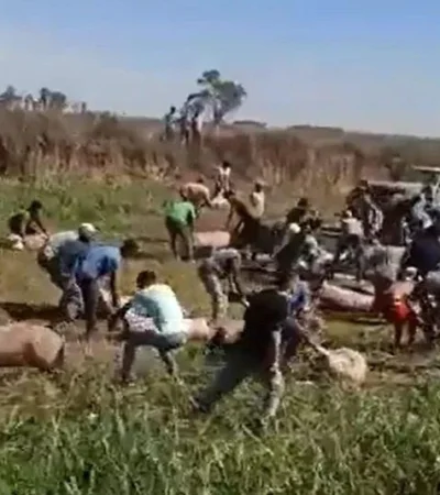 poxzyzdd7renxn547s4w62fnqe-jpg.