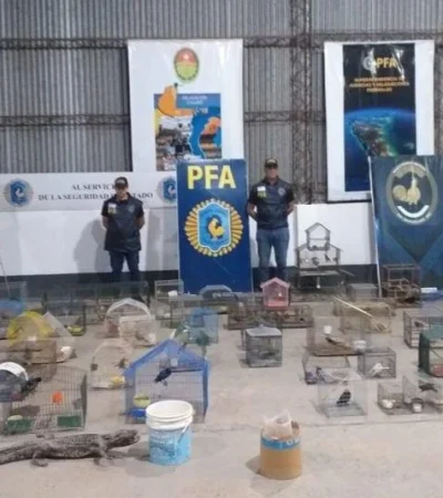 foto0-1-119219-1-jpg.