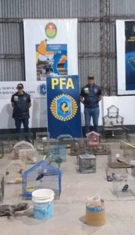 foto0-1-119219-1-jpg.