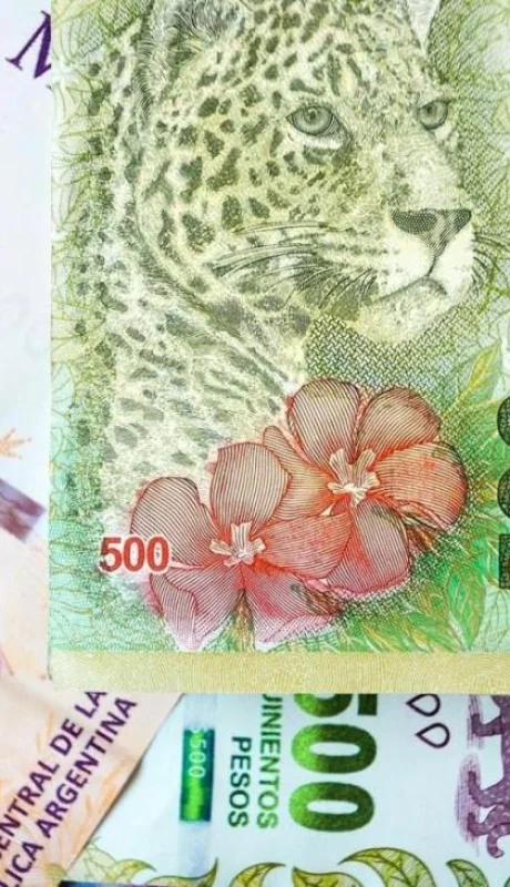 calendario-de-pagos-anses-marzo-jpg.