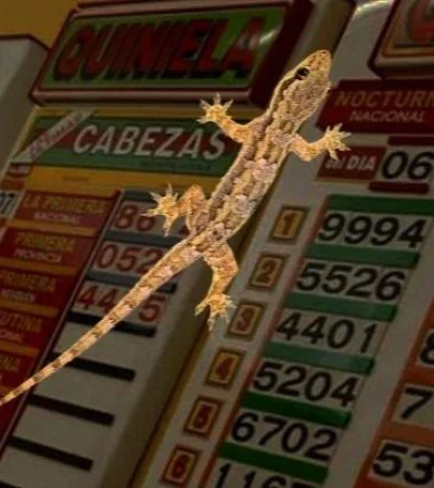 lagartija-quiniela-reptil-lagarto-sueño-suerte-número